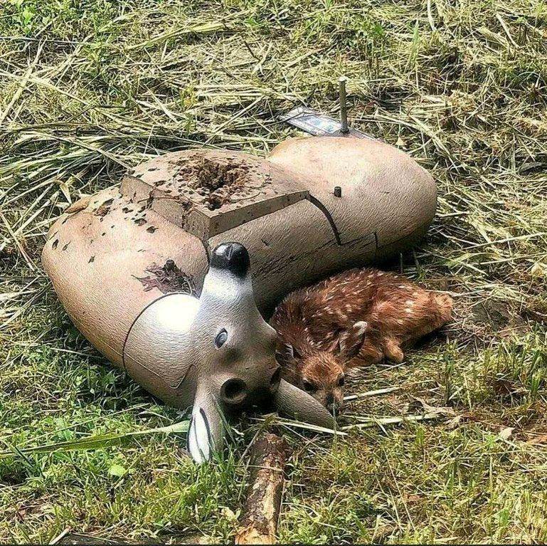 .