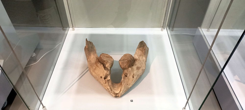 Самарский археологический центр.