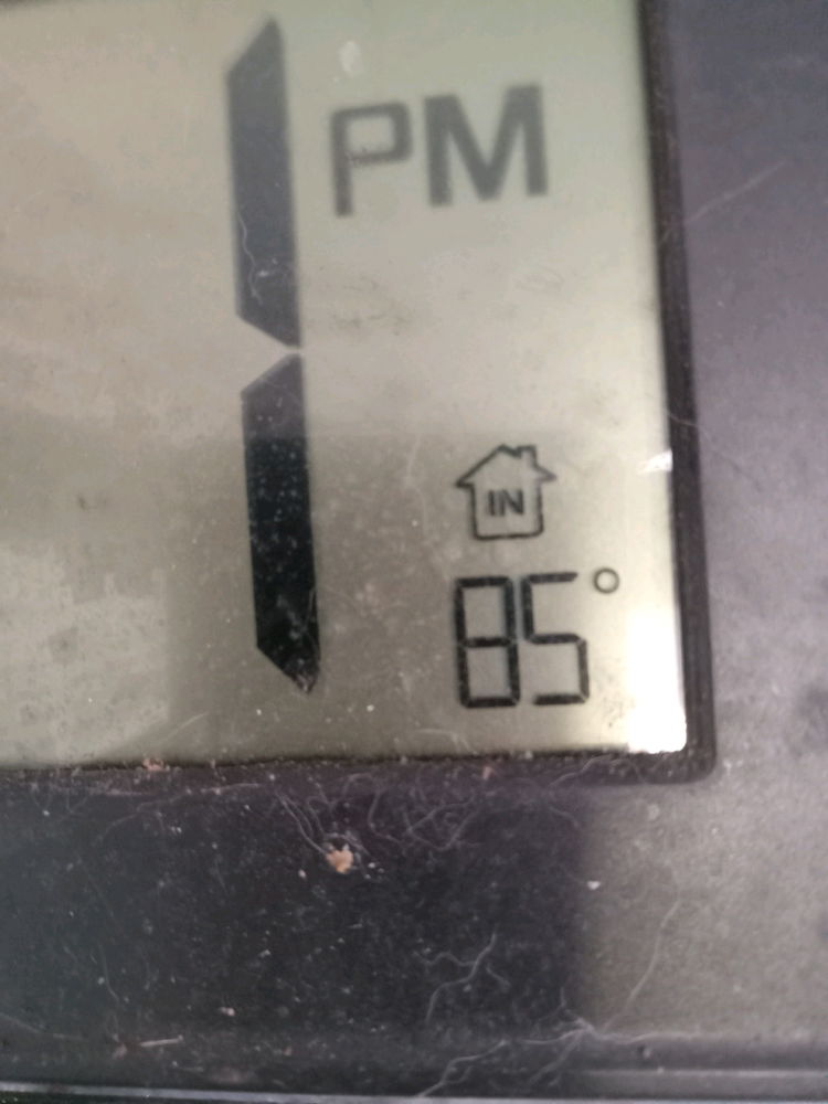 When a desert dweller moves someplace cold