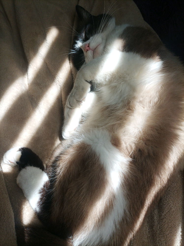 😇