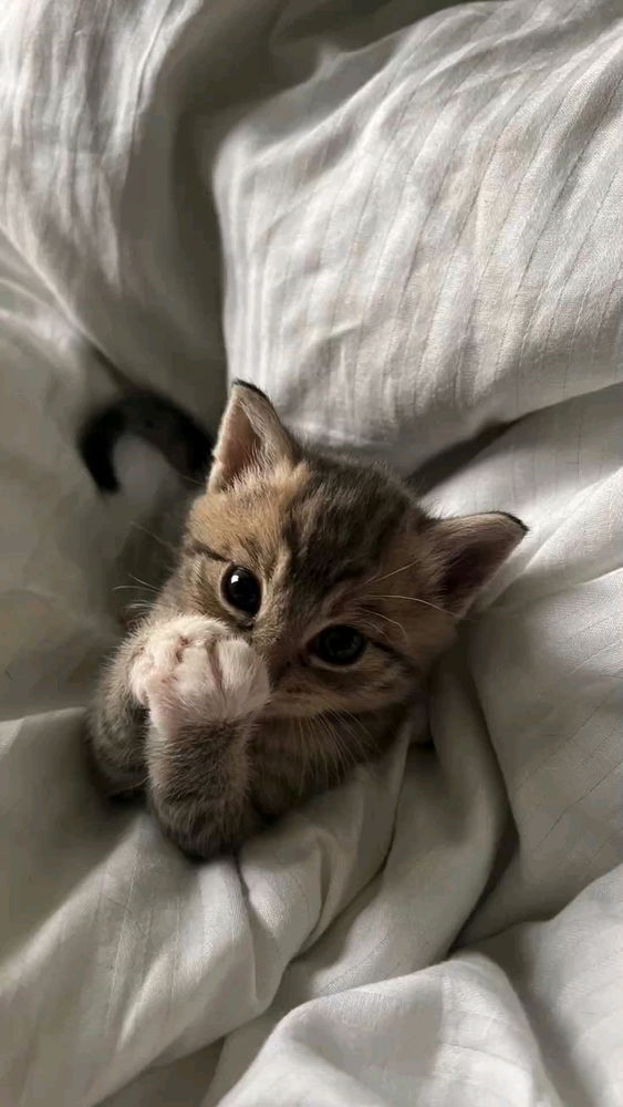 💙