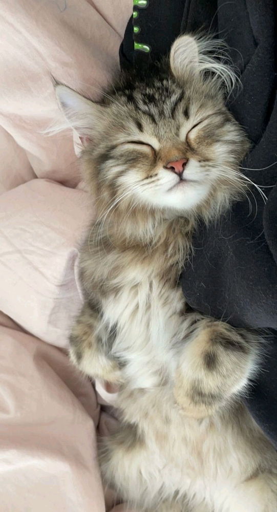 💘