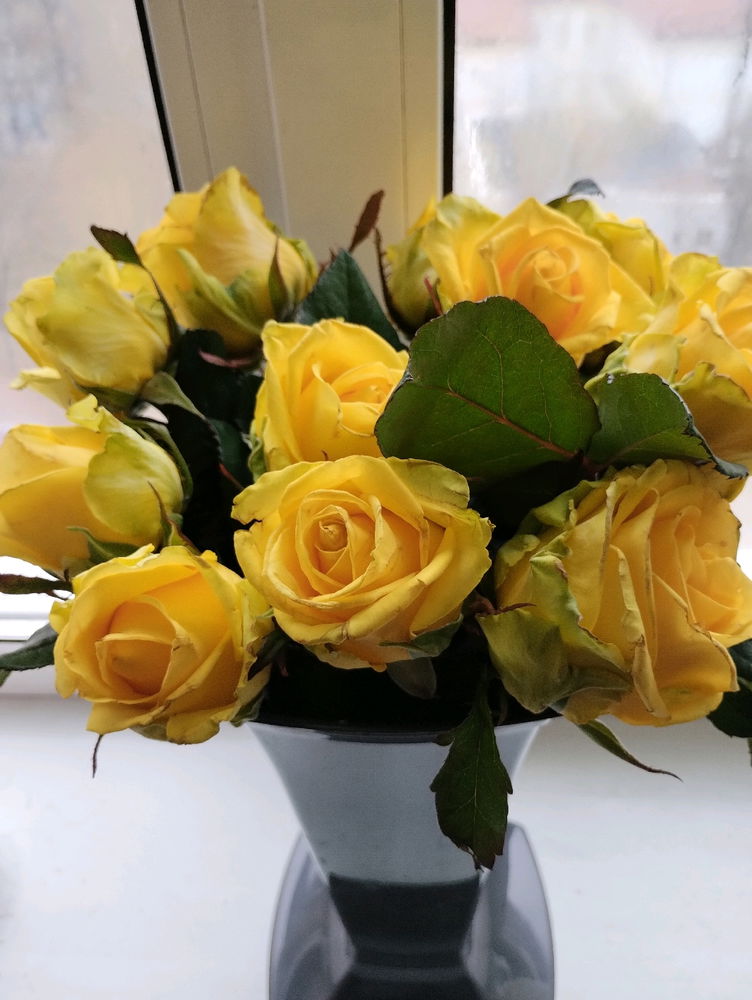 I can buy myself flowers
