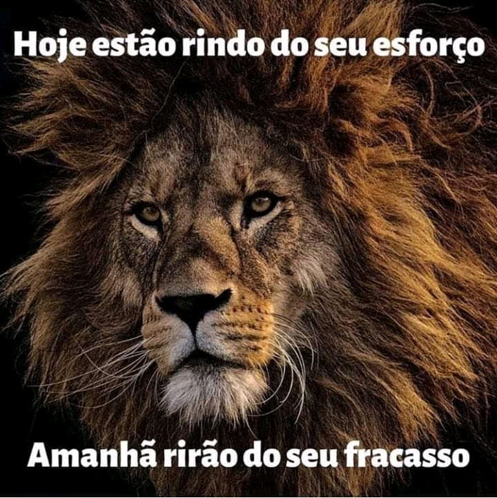 Um dia você vai calar a boca de todos que te elogiaram 😎