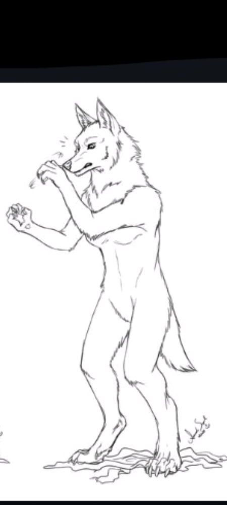 I love werewolf