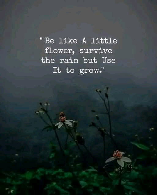 🥀☔