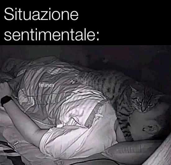 Situazione attuale 🤣🤣🤣