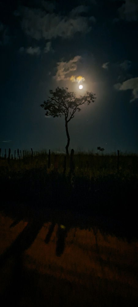 Serviço estendeu, mas valeu a pena só por essa foto