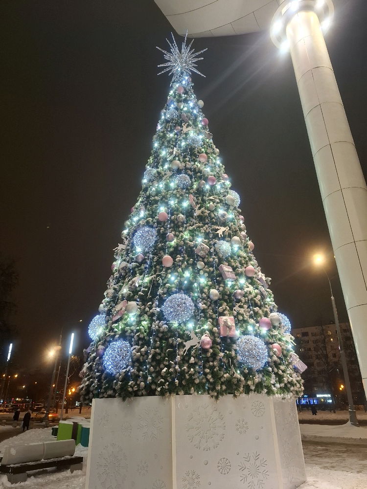 Ёлочки 🎄уже нарядные )))