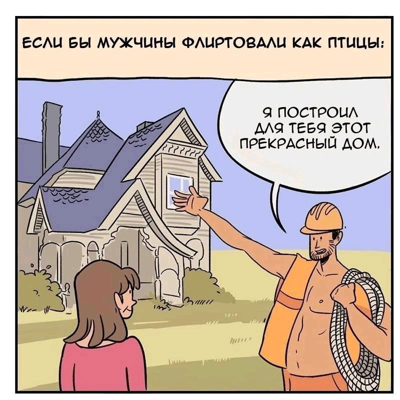 наукопсто