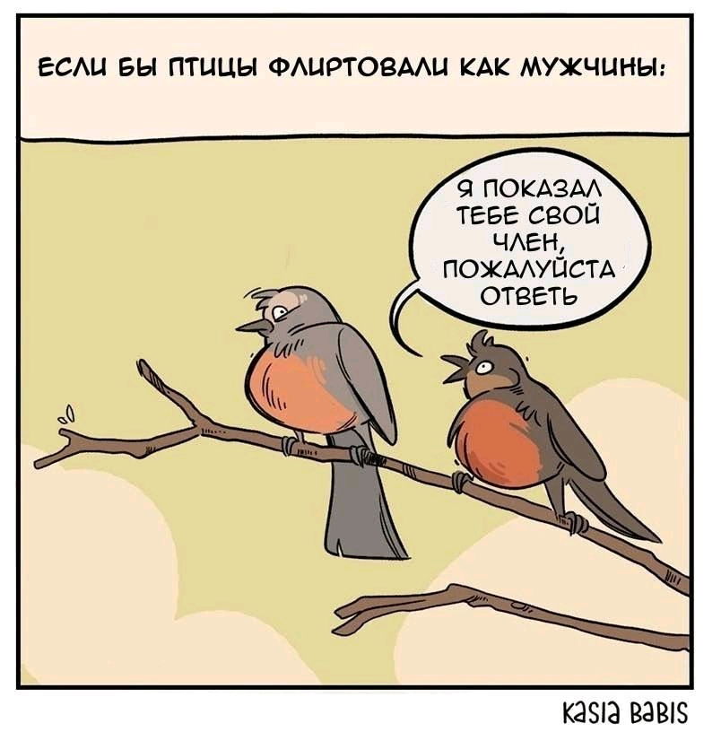 наукопсто