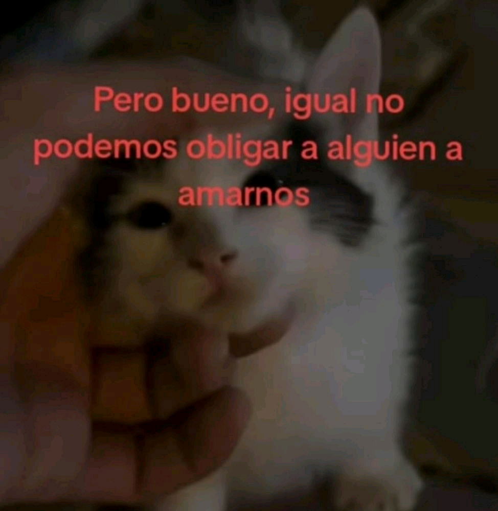 No podemos...