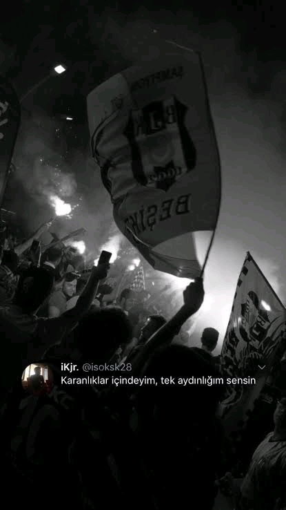 🦅🦅🦅
