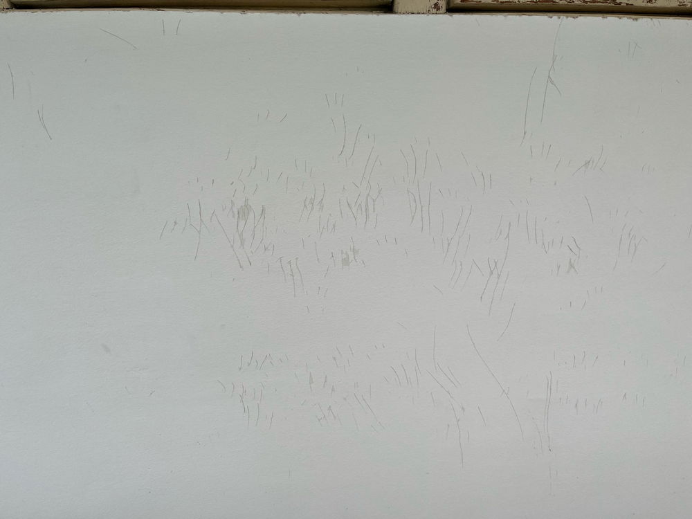 Nevědomky jsem asi našeho kocoura poprosil aby mi počítal nepovedené či odmítnuté rande xD