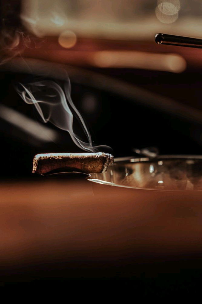 Glass 🥂 of Whiskey & Cigar 🚬
Infront of fireplace 🔥