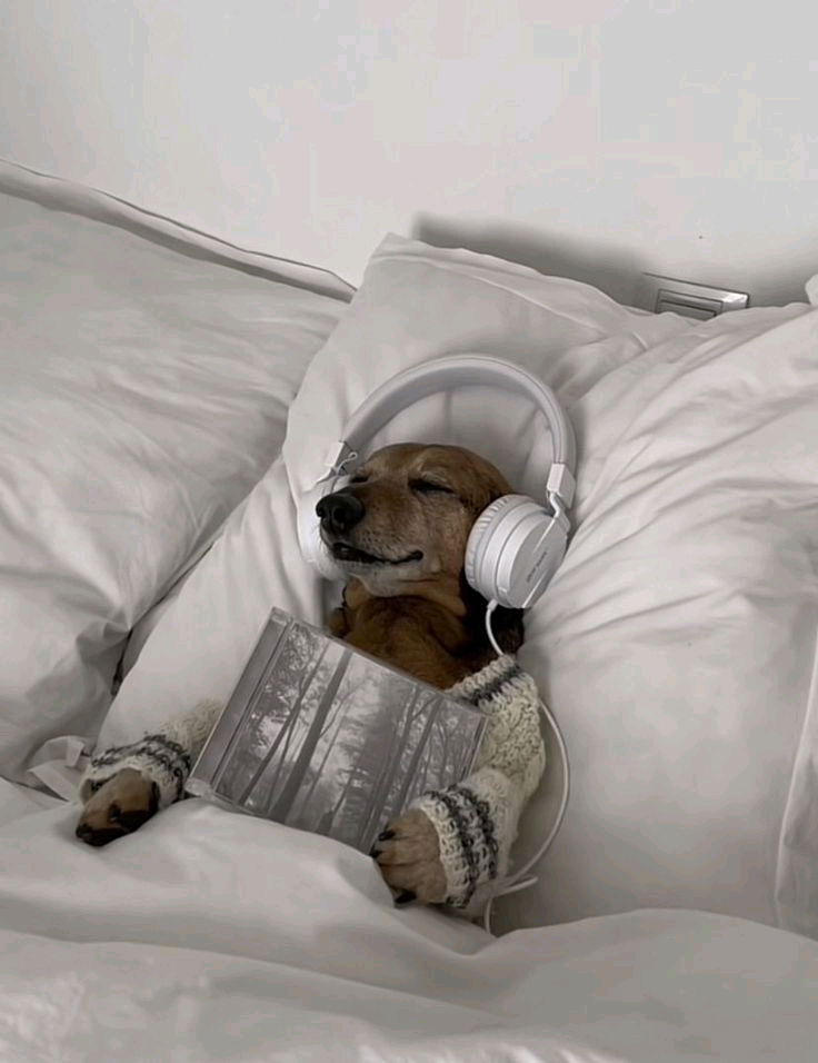Gostaria de participar da minha playlist de amizade no Spotify?