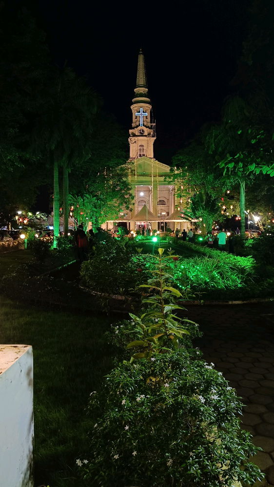 Glimpse of Christmas