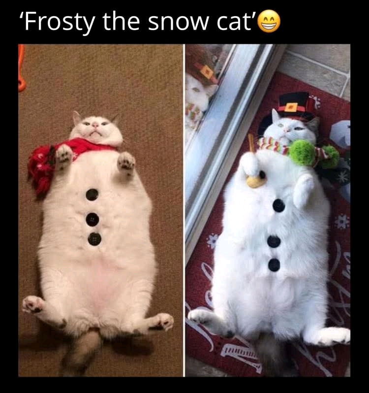 Aww 🥰🥰