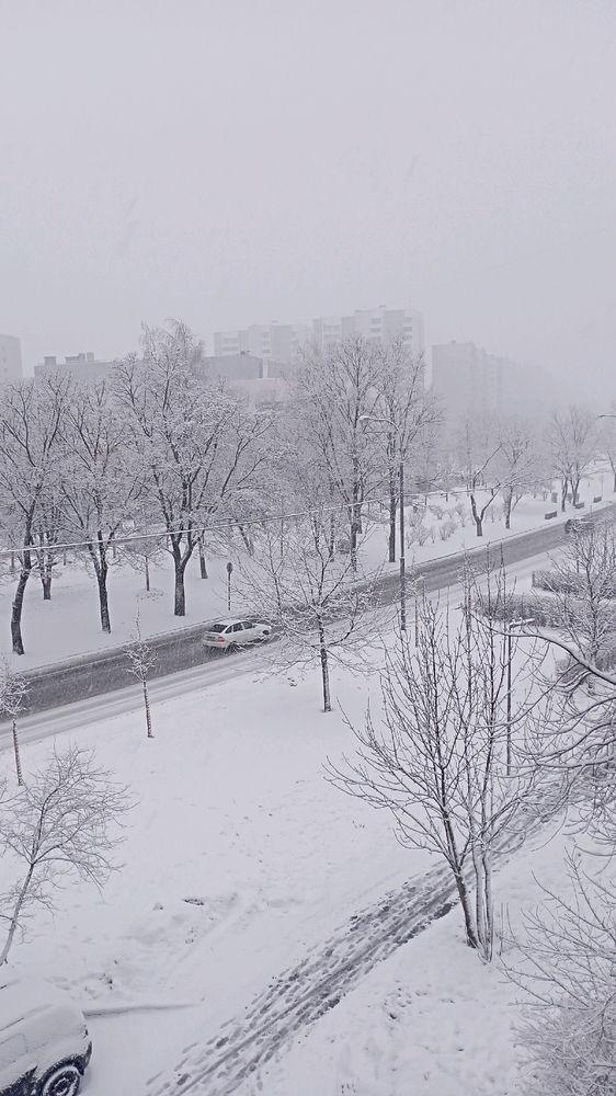 Погода на Новый год
