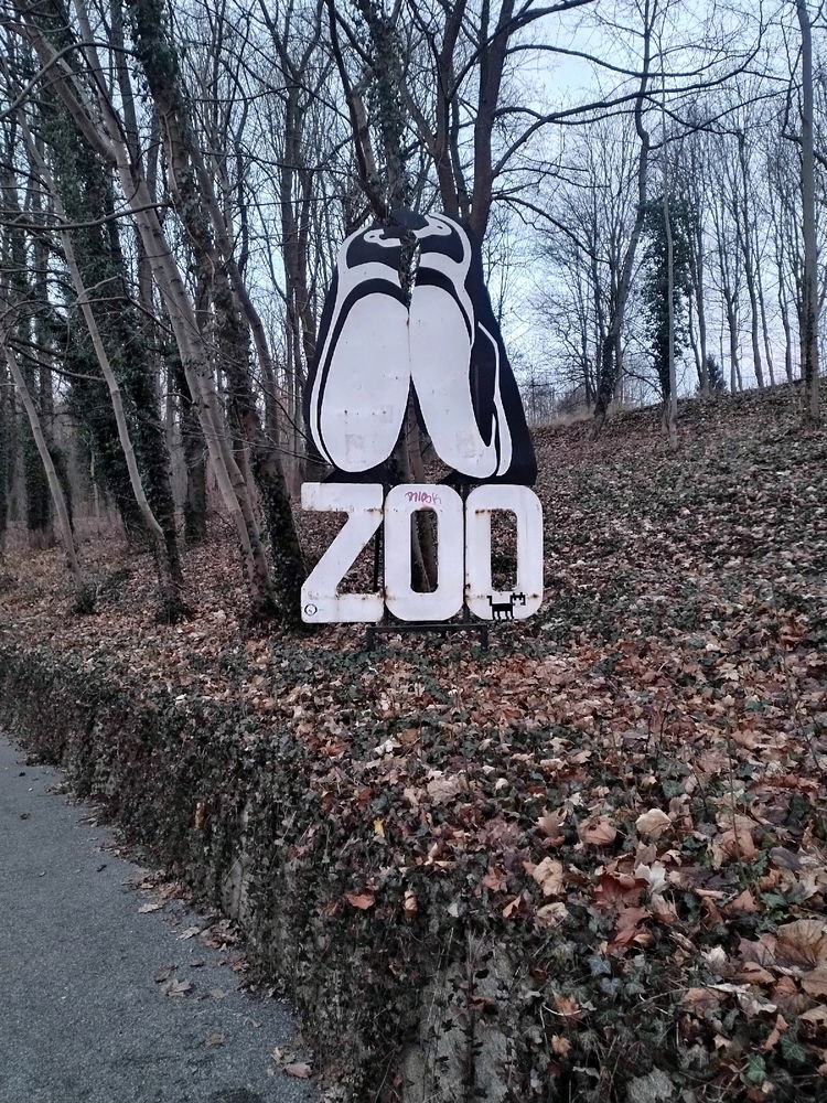 Procházka městem