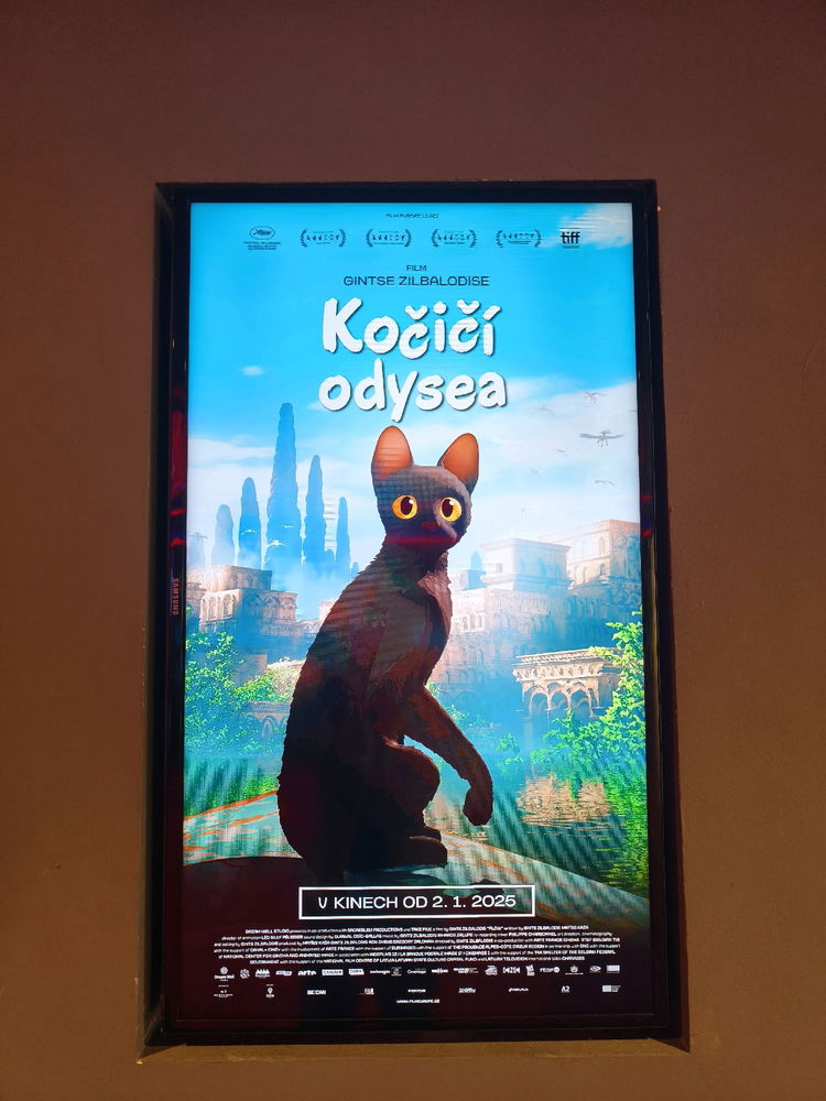 Doporučujix4