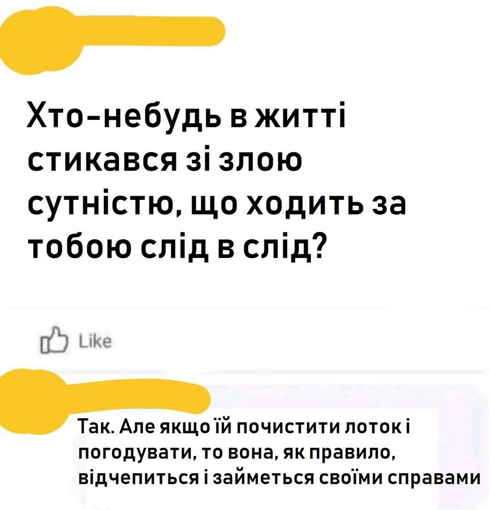True
