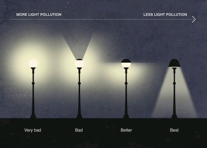 Lampy