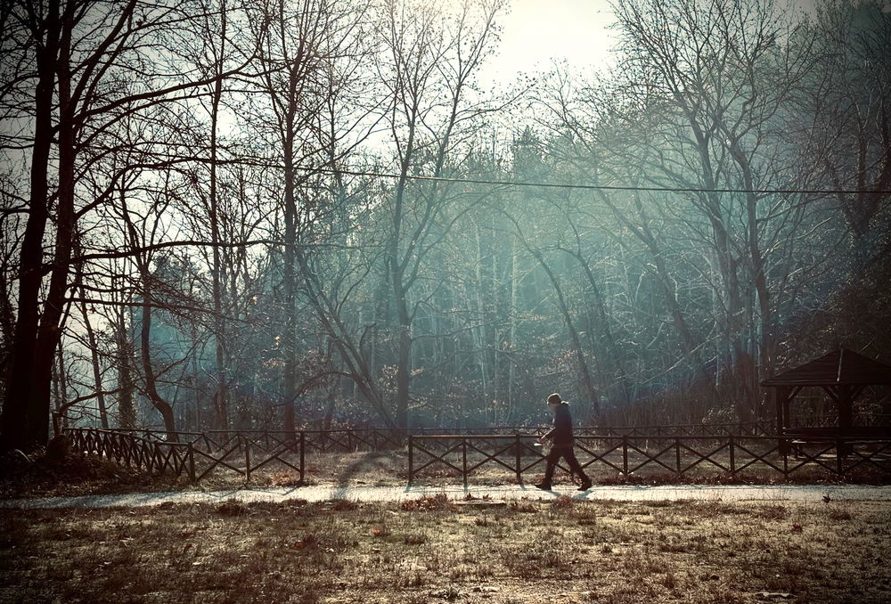 The walker.