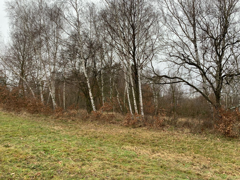Další písmenko ze 🤍 bylo H 
- Helča Wendy byla oběť 🤣.. 





Tak tady prosím fotky přírody co jsi chtěla 😊.. 





Btw.  nevěřila jsem že něco nafotím pěkného..  🤷‍♀️