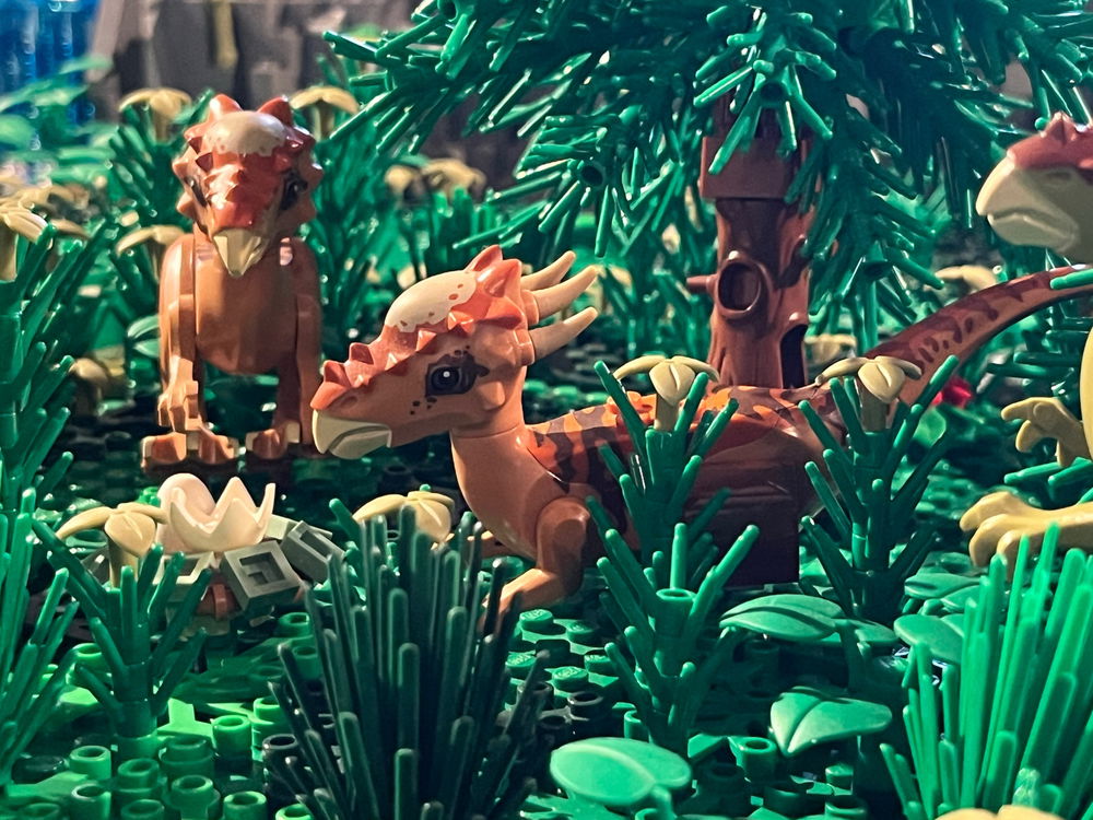 Qualche altra foto del diorama…
