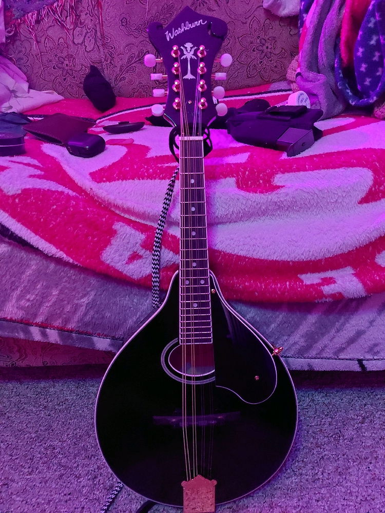 Fully strung mandolin.