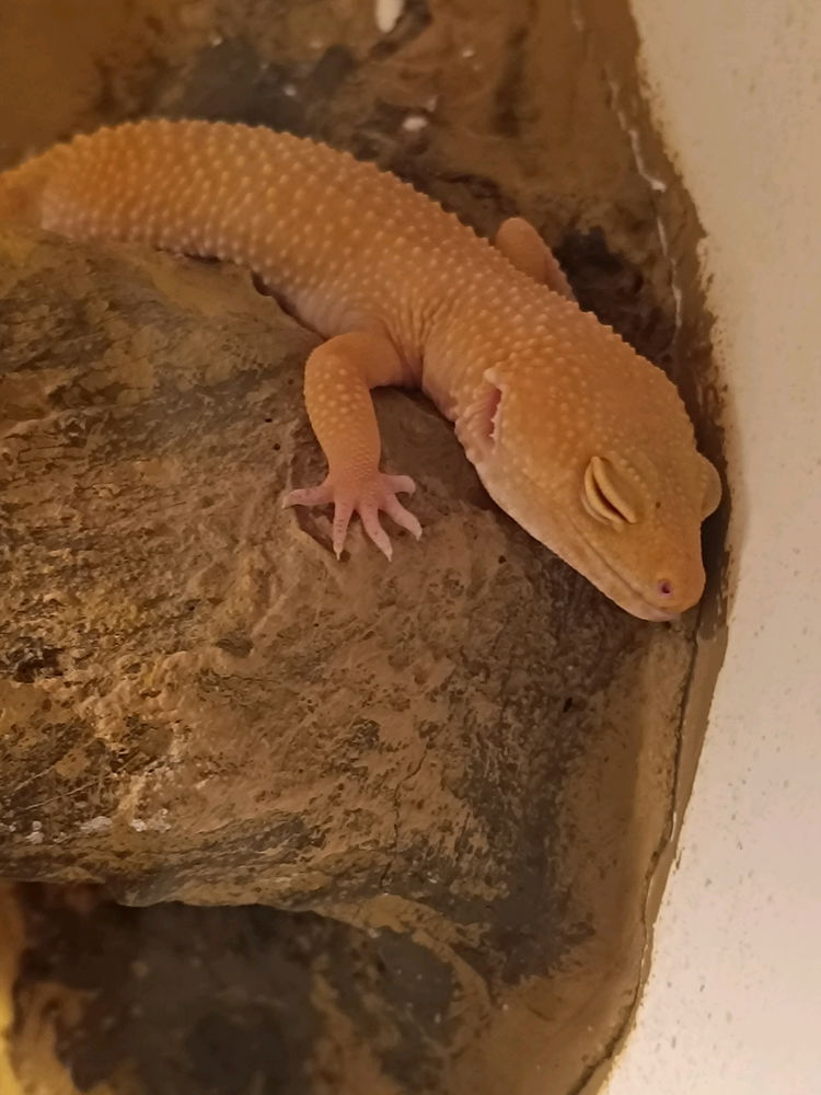 😴