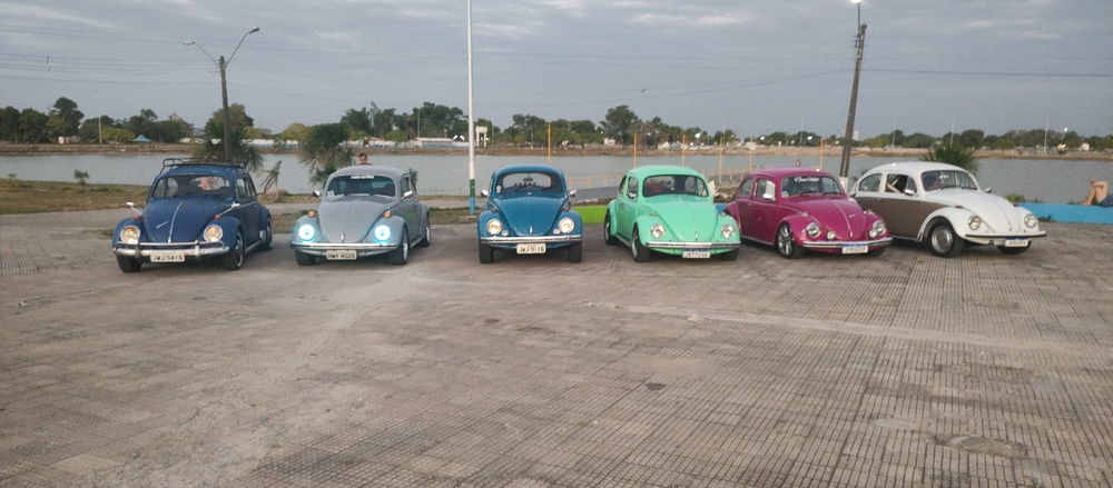 Reunião dos fuscas