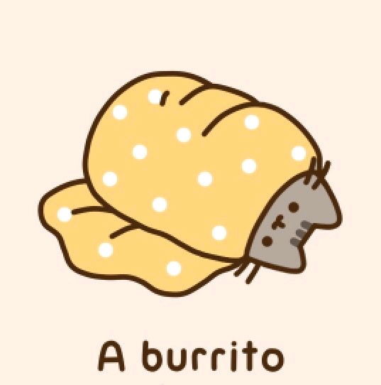 Blanket Burrito