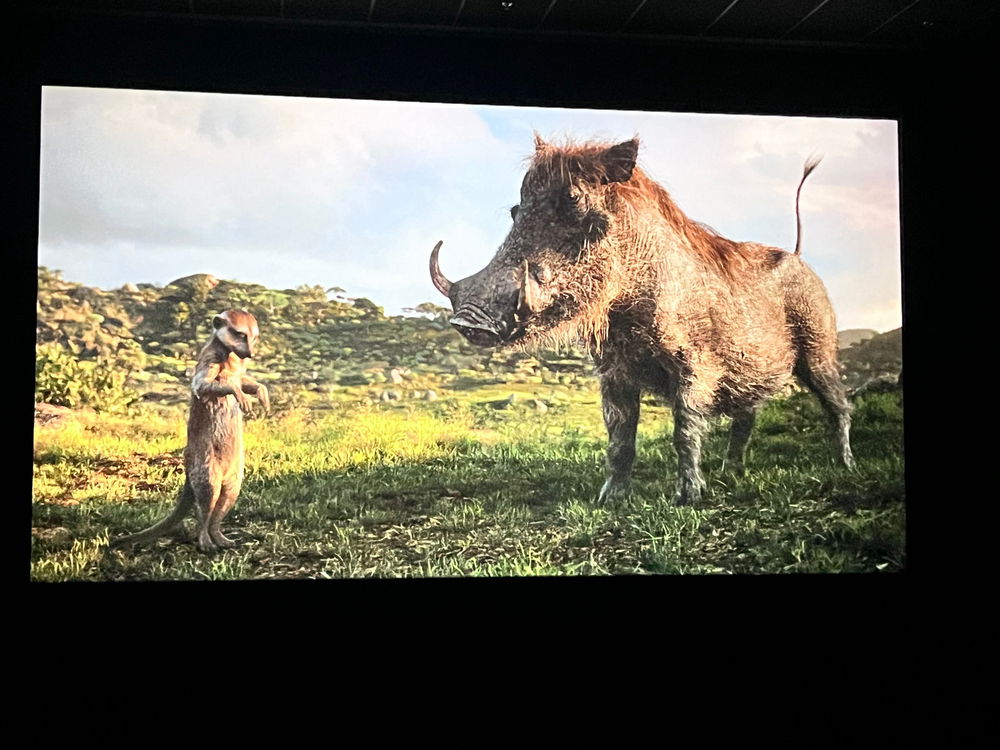Hakuna Mufasa