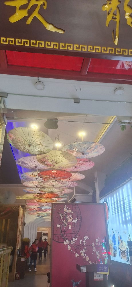 Chinese restaurant veg dumpling 🥟 and chapsuy