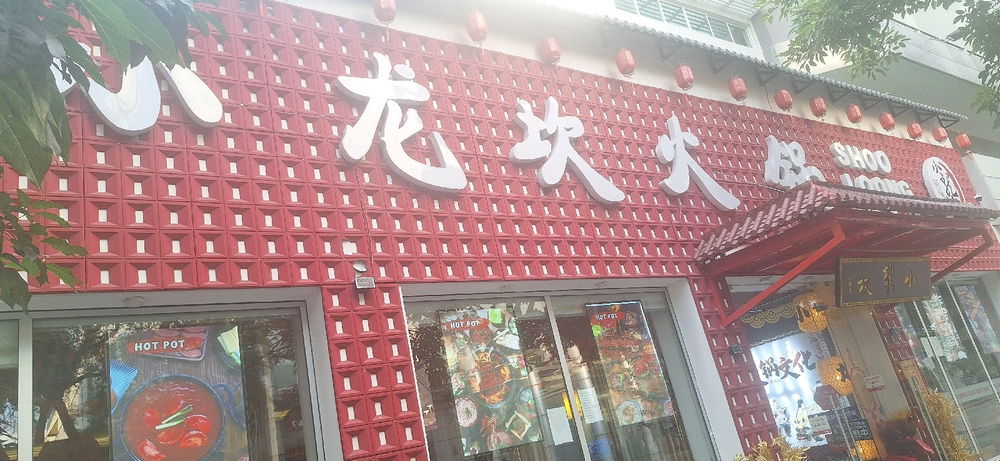 Chinese restaurant veg dumpling 🥟 and chapsuy