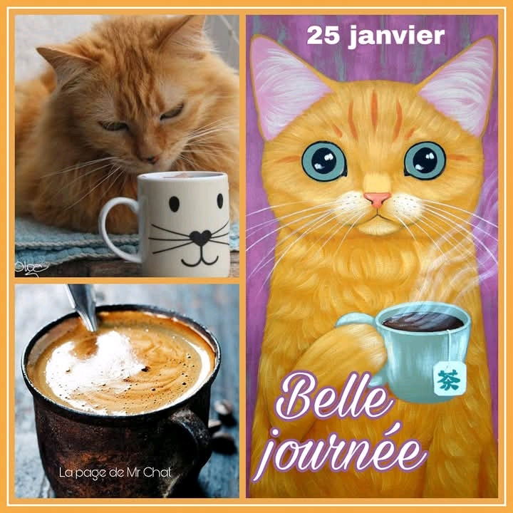 Bonjour les amis❣Bon samedi 😽😽❤❤
