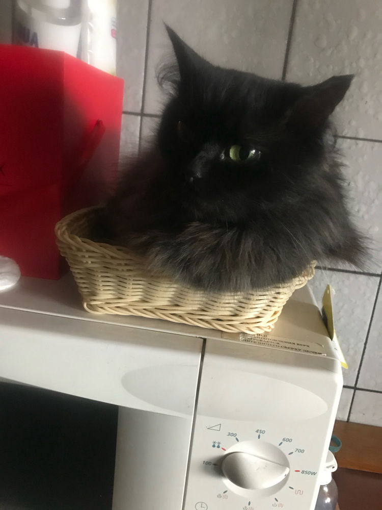 моя прелесть🥰