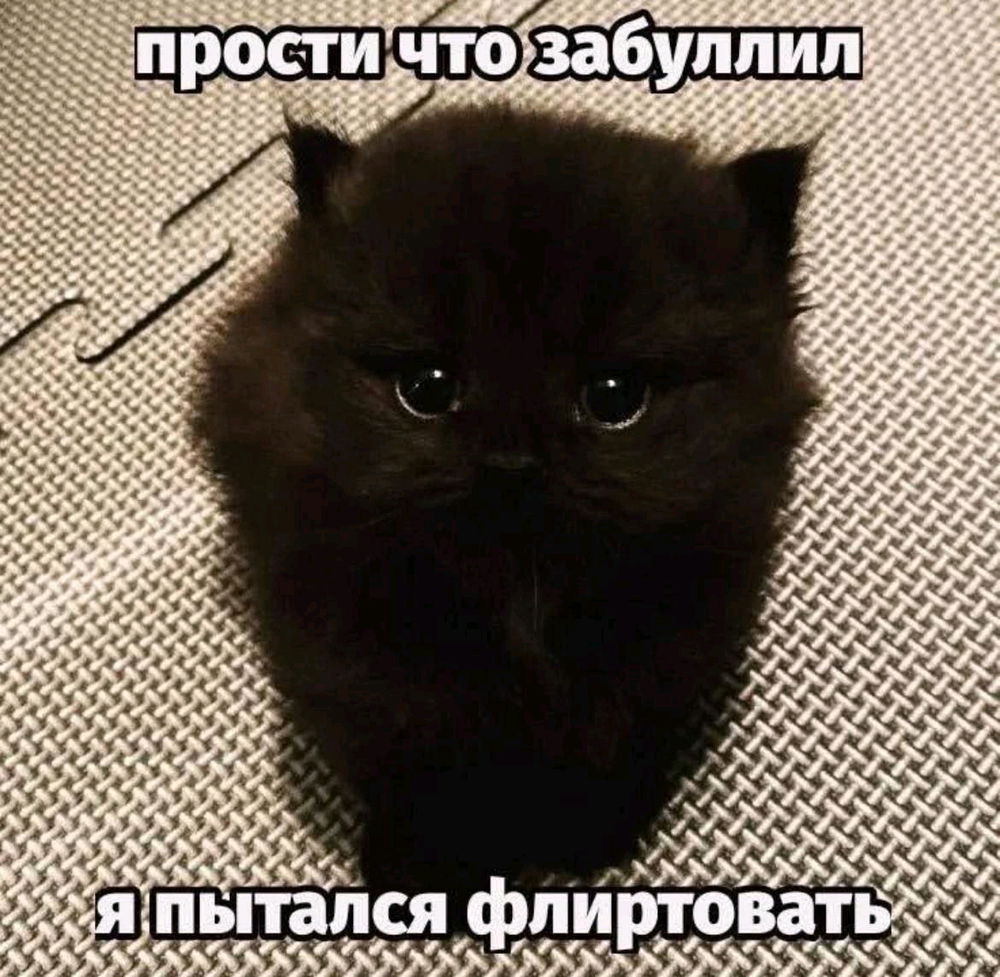 ENTP.jpg