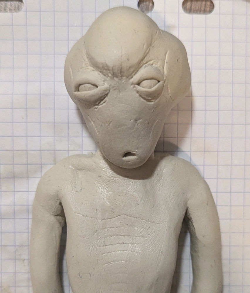 Petit gris 👽