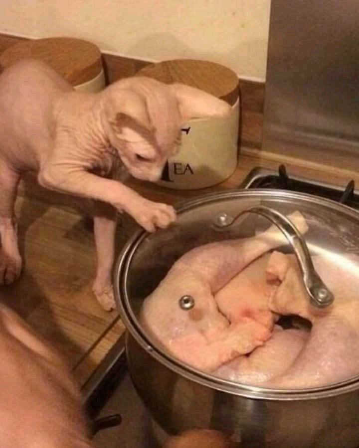 Oh no!!!