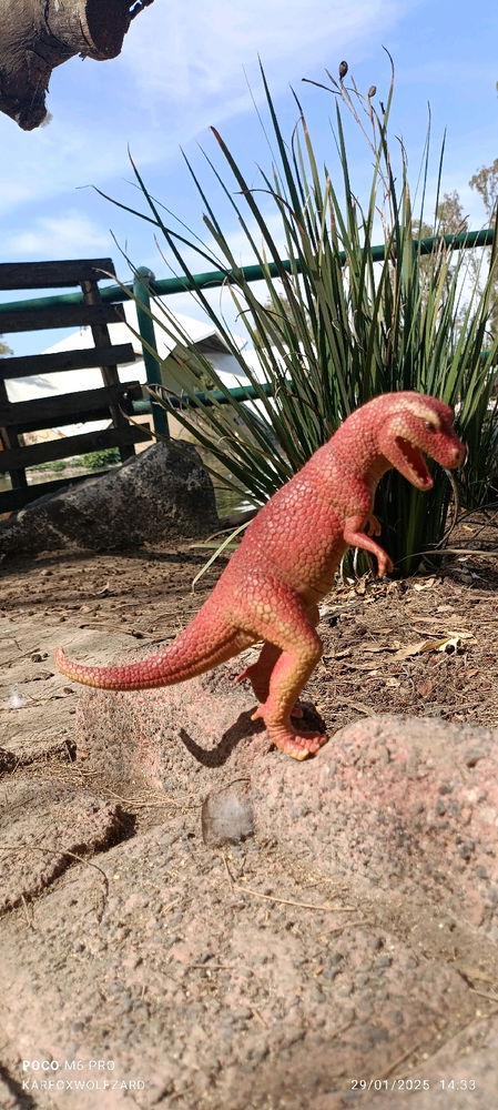 T. Rex de cazeria