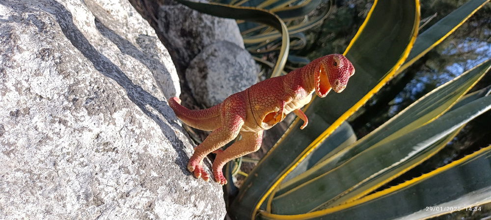 T. Rex de cazeria