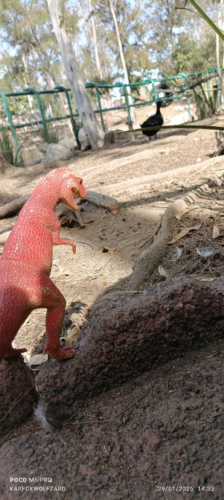 T. Rex de cazeria