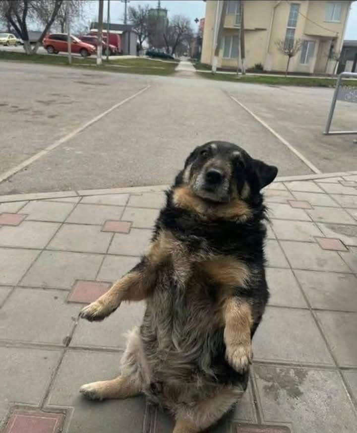 :)