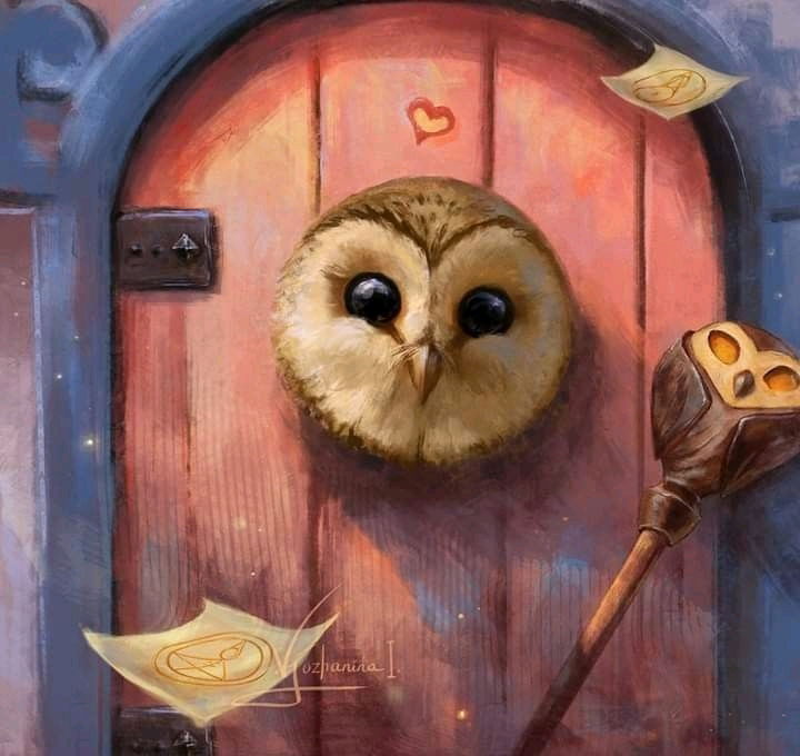 The Owl House 😍😍✨️✨️🦉