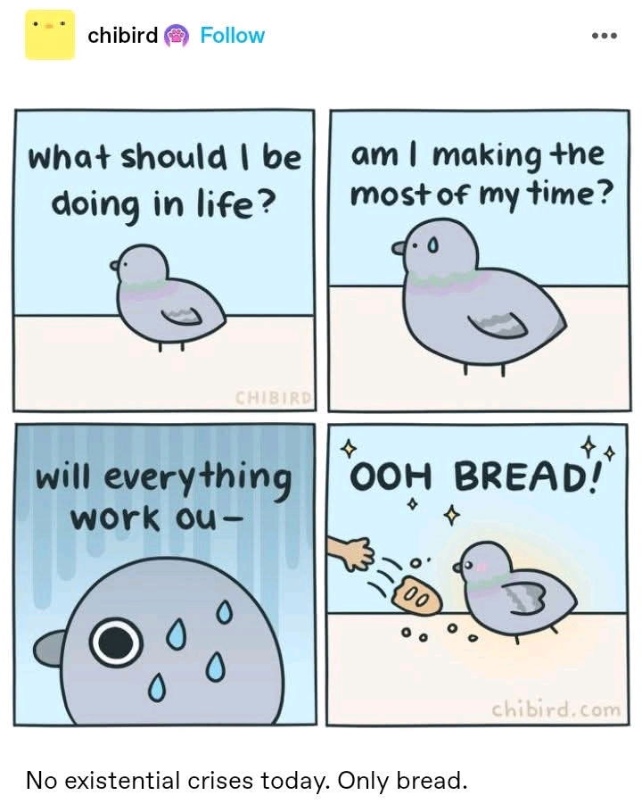 Bread 🤩