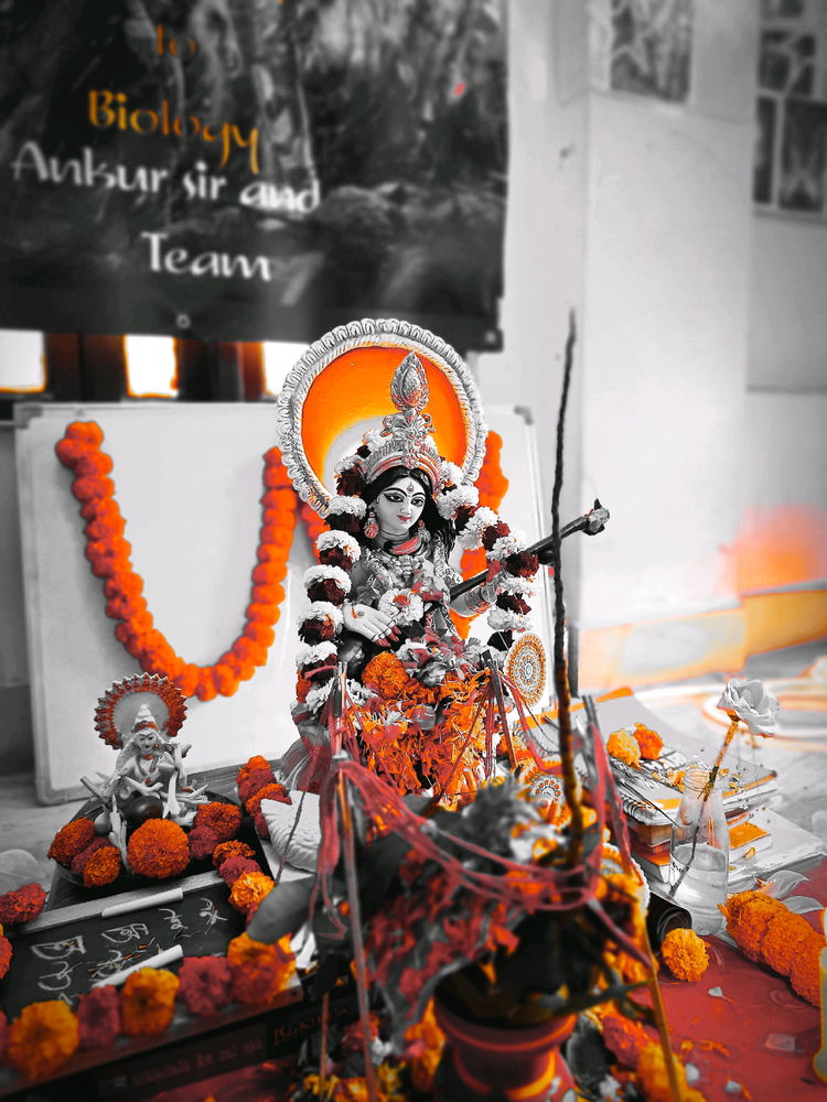 সরস্বতী পুজো
