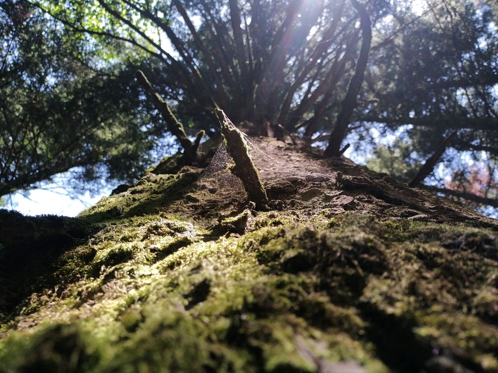 Comme une envie d'été ☀️